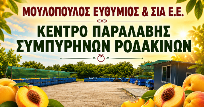 ΜΟΥΛΟΠΟΥΛΟΣ ΠΑΡΑΛΑΒΗ ΡΟΔΑΚΙΝΑ